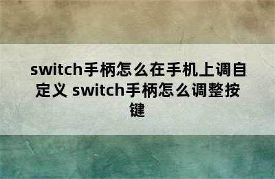 switch手柄怎么在手机上调自定义 switch手柄怎么调整按键